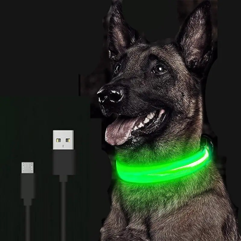 Coleira de LED