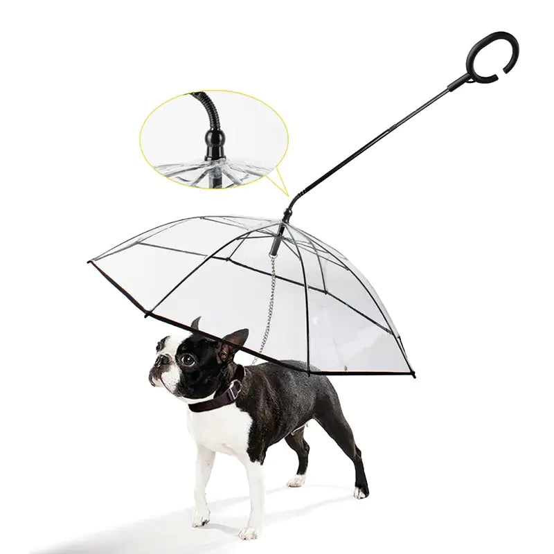 Guarda Chuva para Cachorro