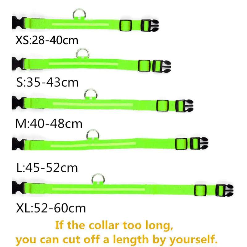Coleira de LED