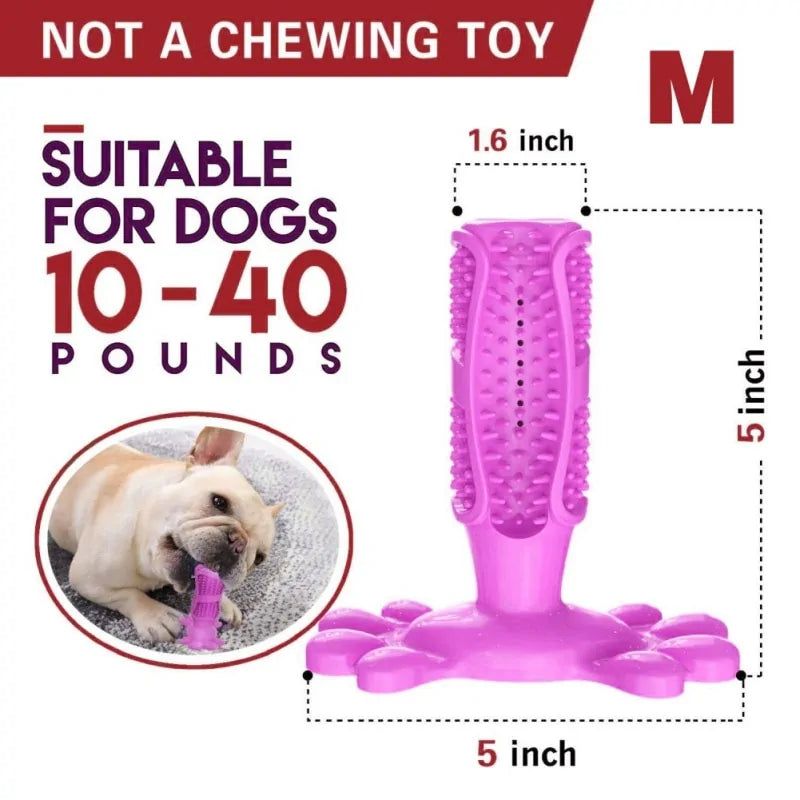 Escova de dentes para cachorro
