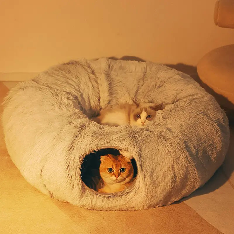 Casa 2 em 1 - Gatos