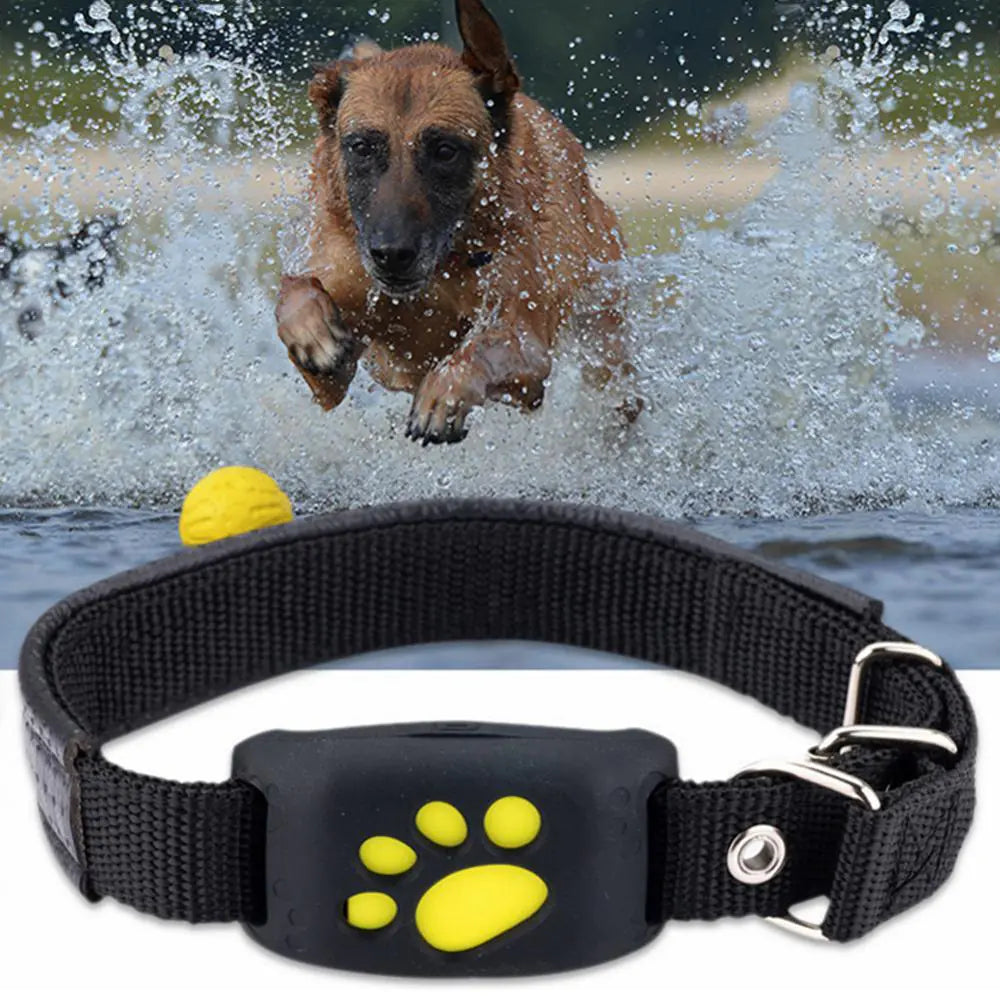 Coleira GPS rastreadora PET's Friend