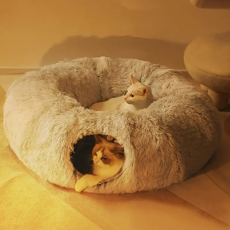 Casa 2 em 1 - Gatos