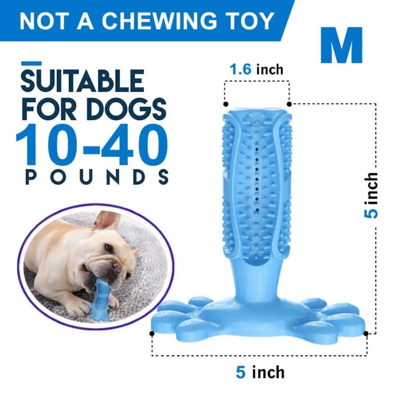 Escova de dentes para cachorro