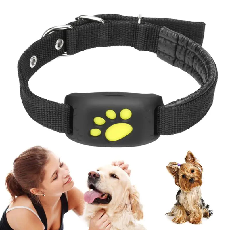 Coleira GPS rastreadora PET's Friend