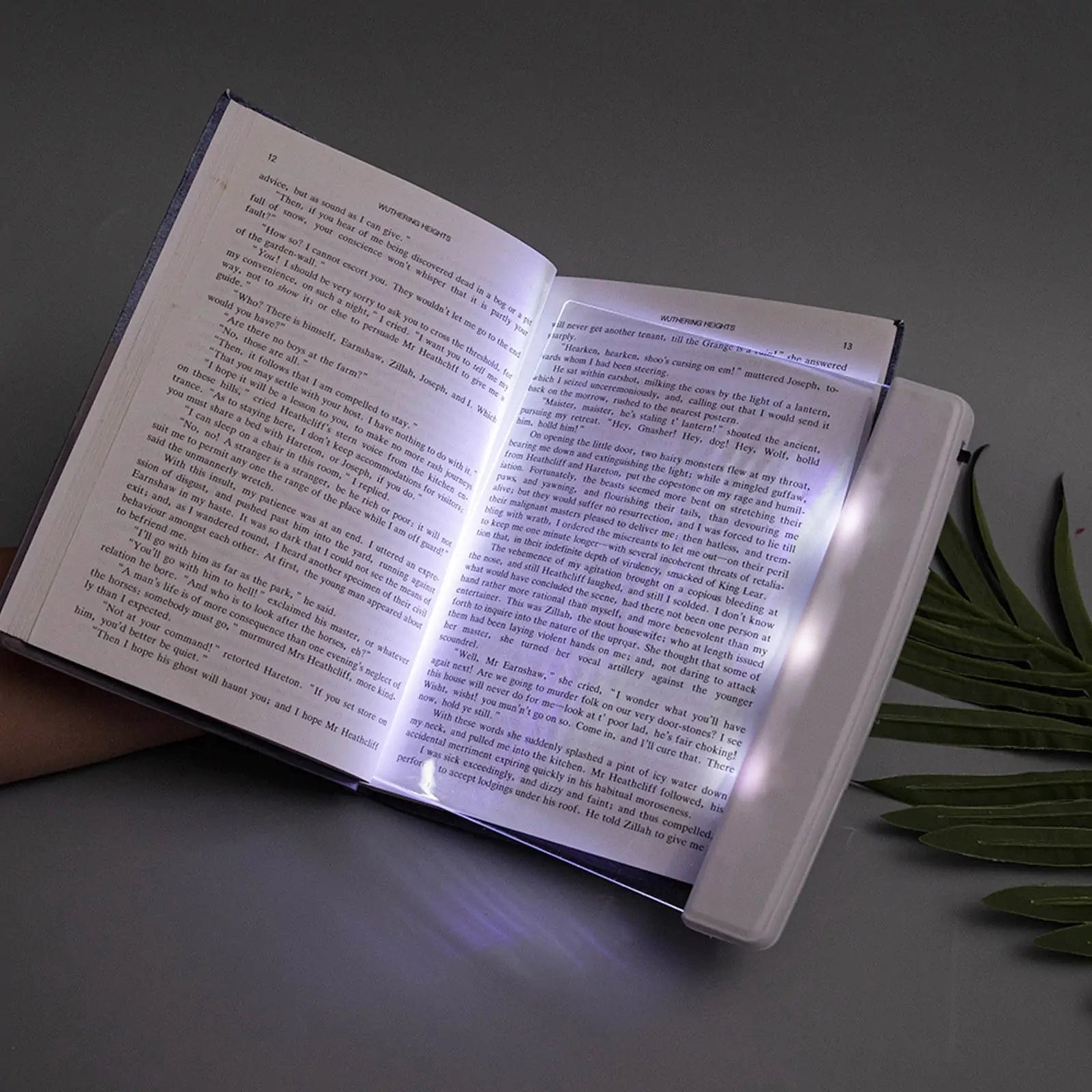 Luz de Leitura Plena - LED