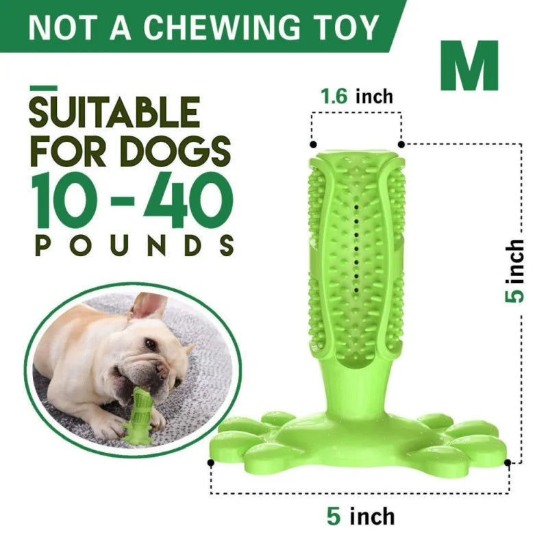 Escova de dentes para cachorro
