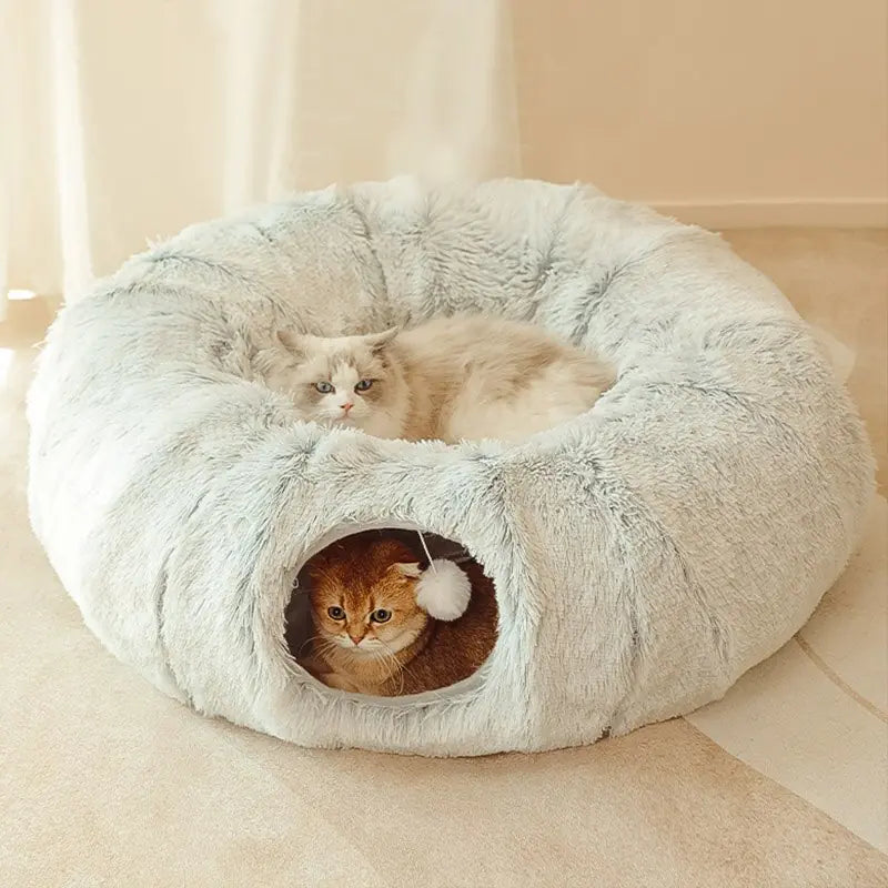 Casa 2 em 1 - Gatos