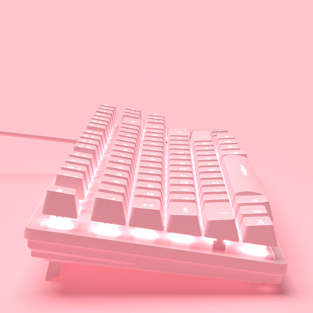 Lindo conjunto de teclado e mouse rosa com fio