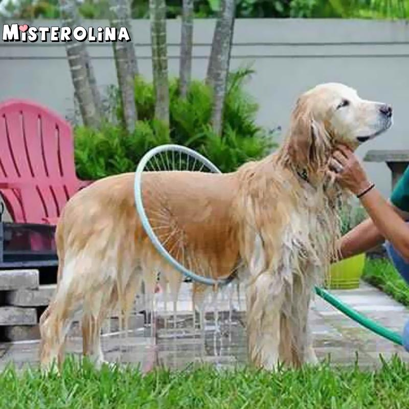 Lavadora de Cachorros 360